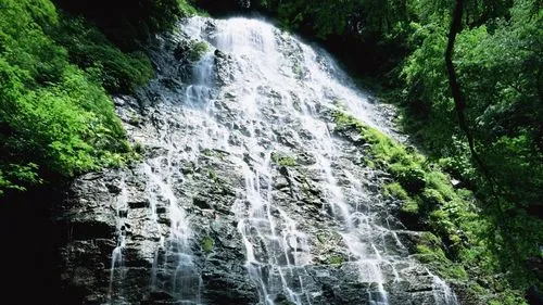 高性能绿色可靠性